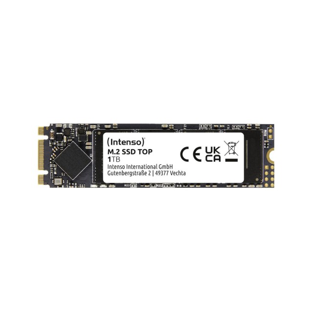 Intenso 1ΤB m.2 SSD SATA III Top 3832460