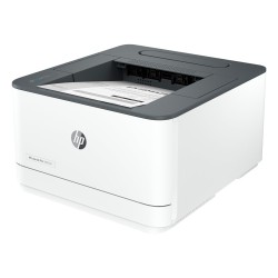 HP LaserJet Pro 3002dn Printer - 3G651F